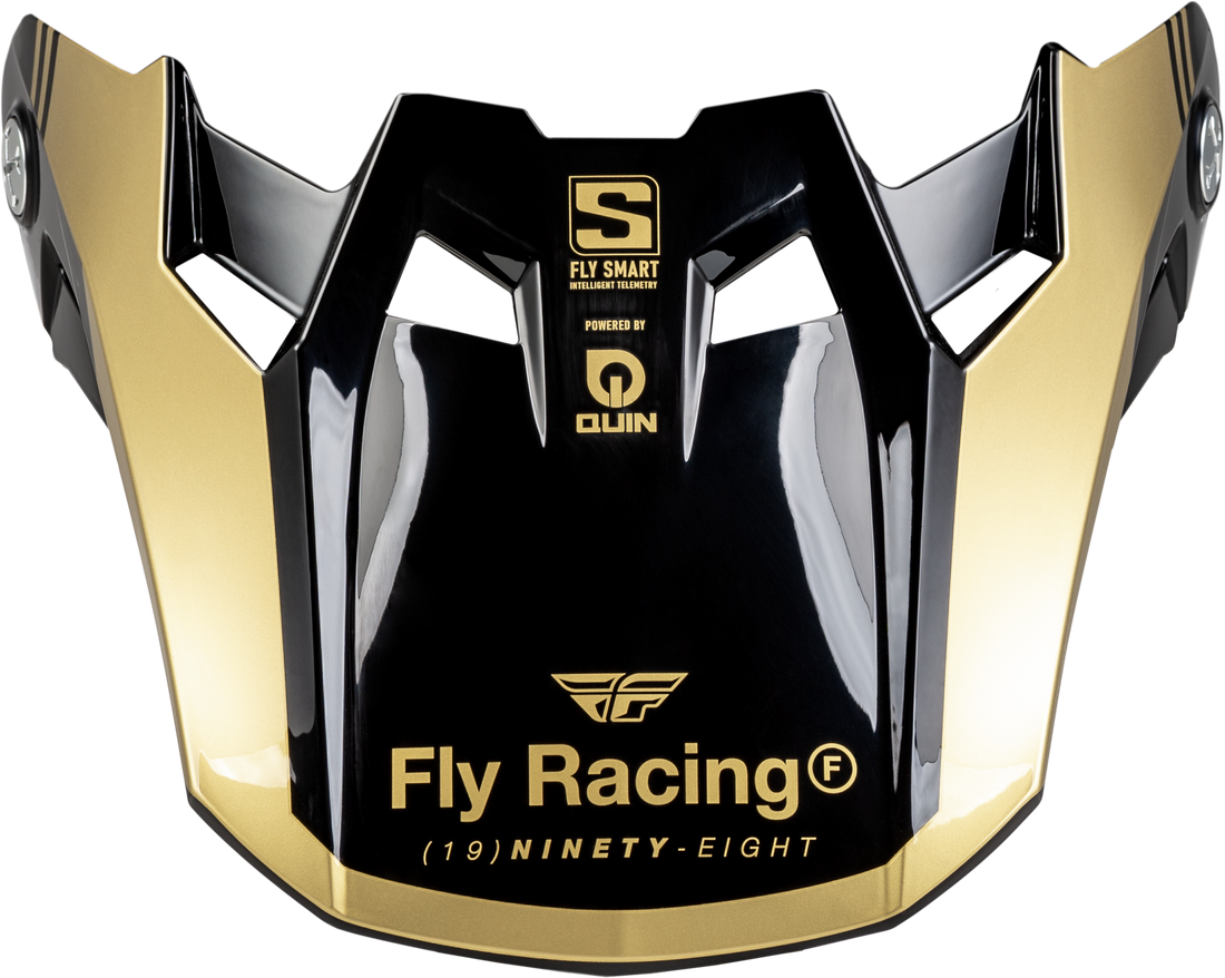 FLY-RACING-Formula-S-Carbon-Legacy-Visor-2024