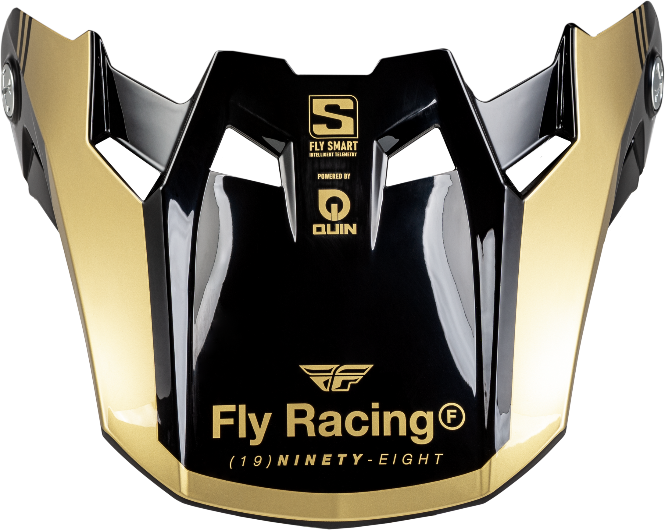 FLY-RACING-Formula-S-Carbon-Legacy-Visor-2024