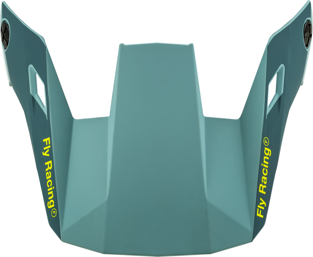 FLY-RACING-Youth-Rayce-Helmet-Visor-2024