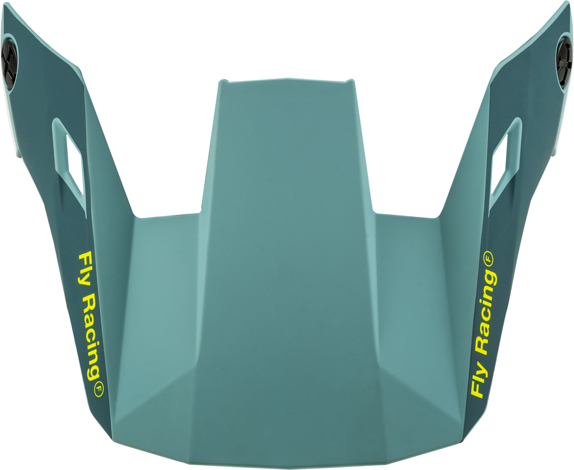 FLY-RACING-Youth-Rayce-Helmet-Visor-2024
