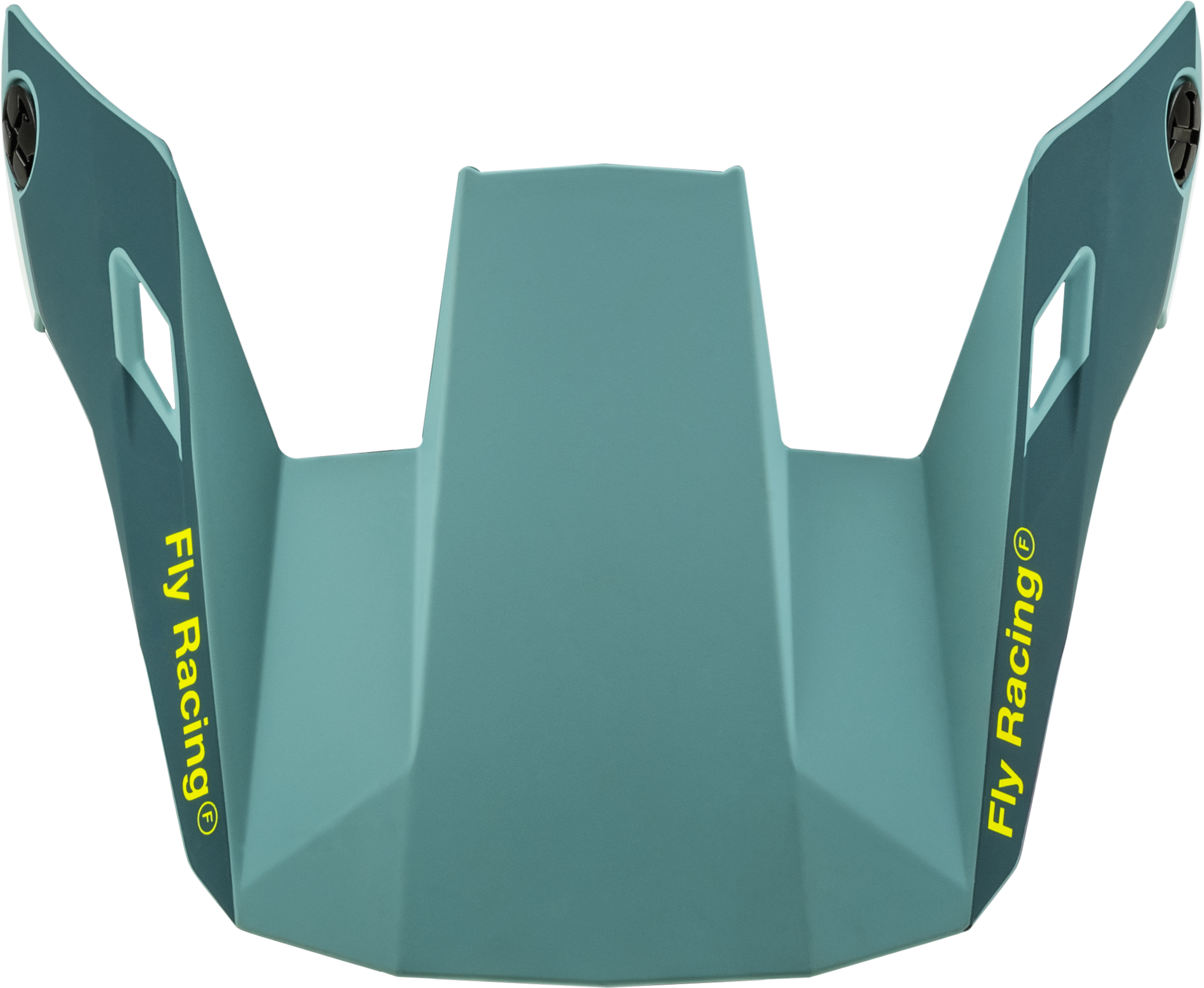 FLY-RACING-Youth-Rayce-Helmet-Visor-2024