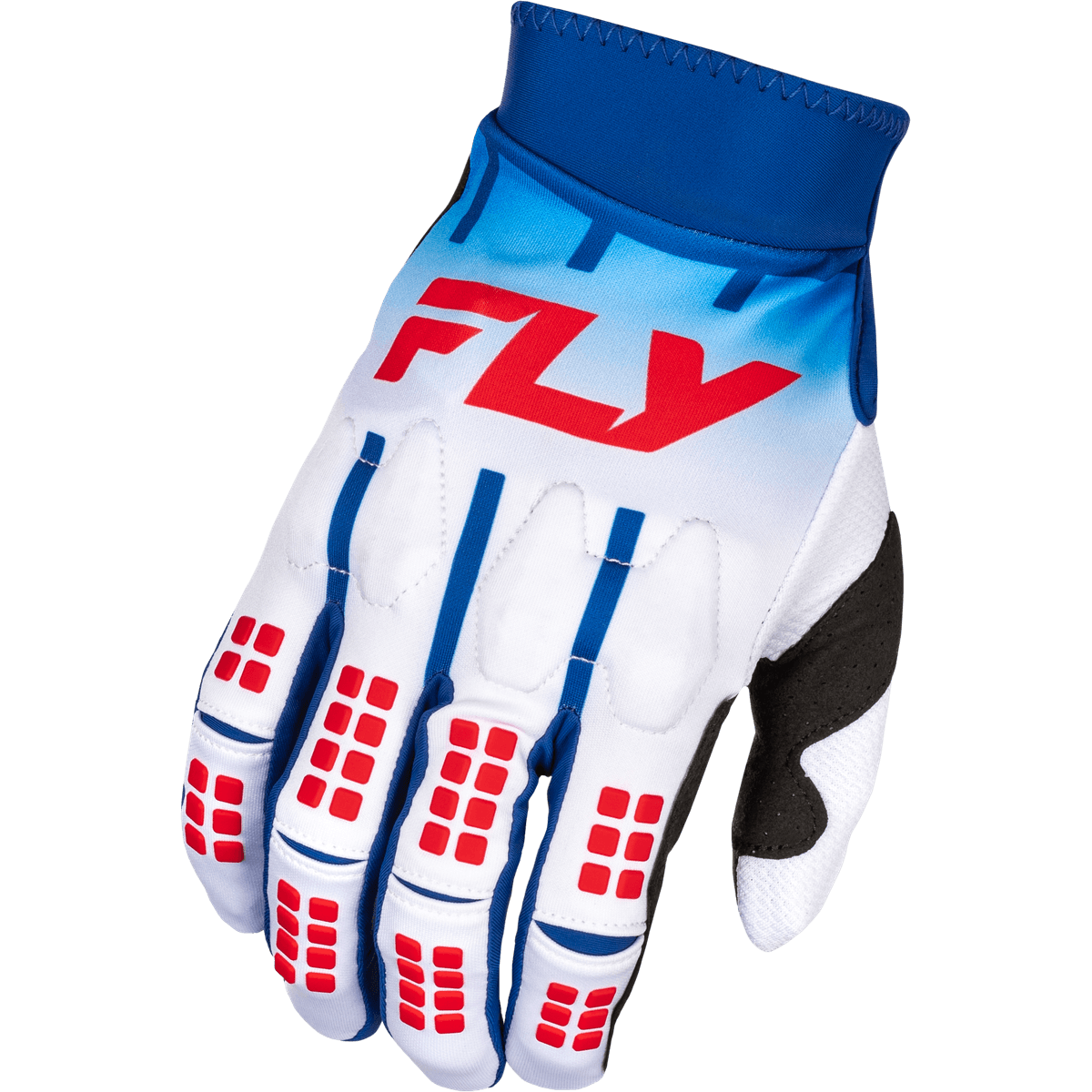 Fly Racing Evolution Dst Gloves - MOTODLVRD